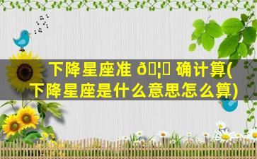 下降星座准 🦟 确计算(下降星座是什么意思怎么算)